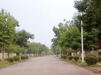 Chủ nhà gửi bán biệt thự xây thô đường Long Việt KĐT Quang Minh, DT 348.8m2, giá 34 triệu/m2