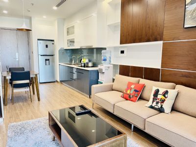 Cho thuê căn hộ chung cư 1 ngủ toà M2 tại Vinhomes Metropolis