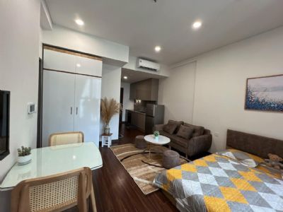 Cho thuê căn hộ chung cư 1 studio phòng ngủ đủ đồ tại Vinhomes Sky Park Bắc Giang