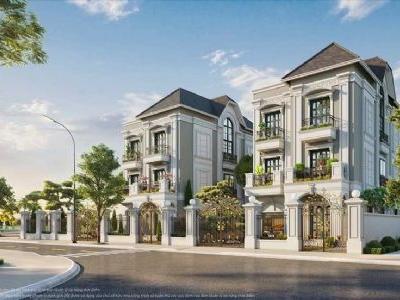 Cần bán biệt thự đơn lập có sân vườn, bể bơi riêng hướng Bắc Vinhomes Green City Long An