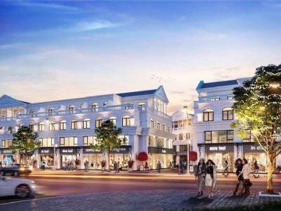 [VIP] Bán căn góc shophouse dãy Tự Do hướng Đông Bắc hoàn thiện mặt ngoài Vinhomes Global Gate