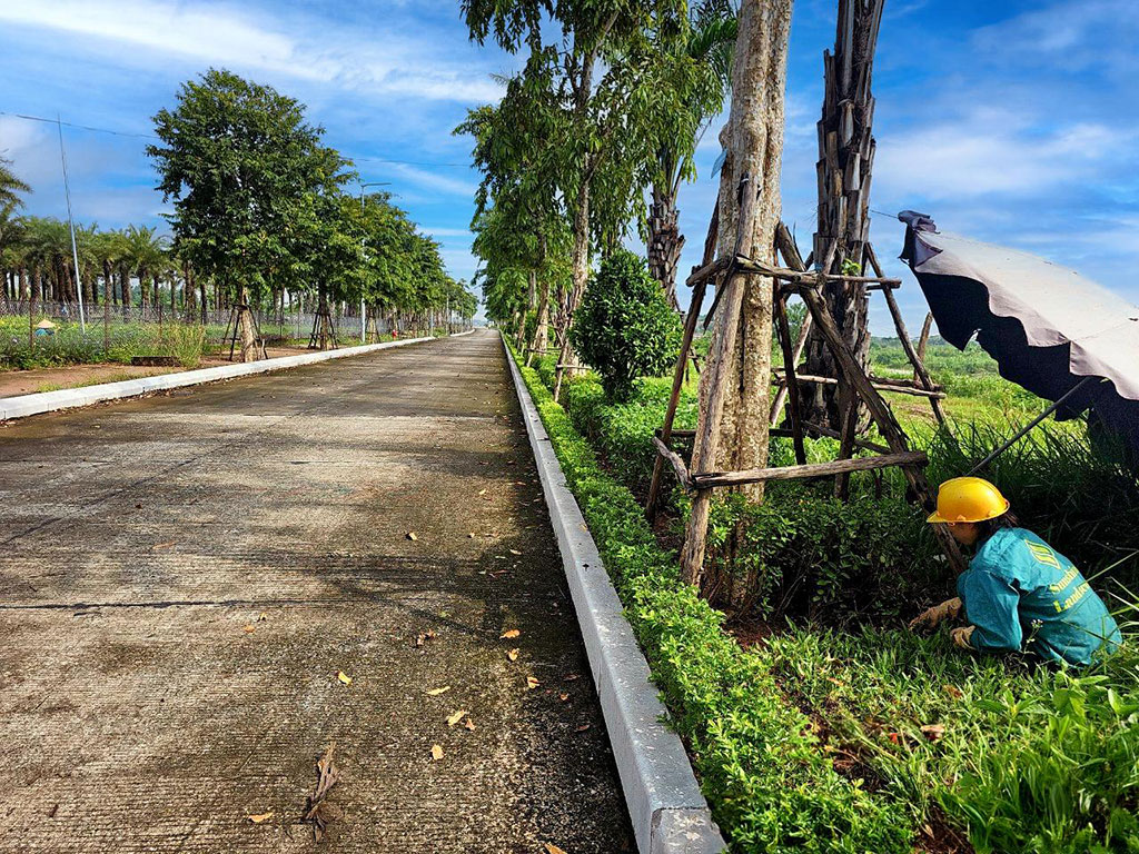 Cập nhật mới nhất về tiến độ thi công dự án Sunshine Heritage Resort