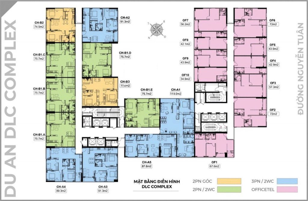 Mặt bằng thiết kế dự án DLC Complex Nguyễn Tuân