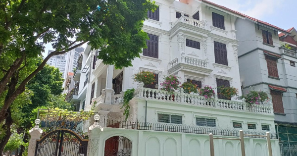 Biệt thự cho thuê quận Hai Bà Trưng