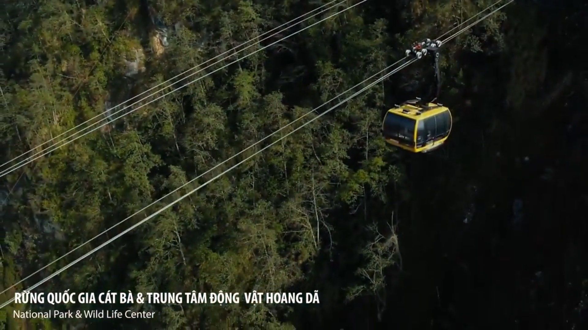 Tiện ích Sun Group Cát Bà