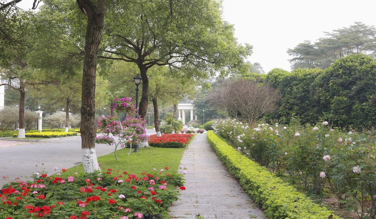 Nhà mẫu khu đô thị Rose Valley Mê Linh