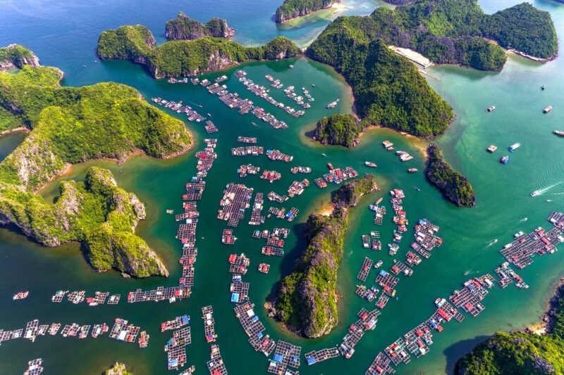 Tư vấn mua bán dự án Sun Group Cát Bà